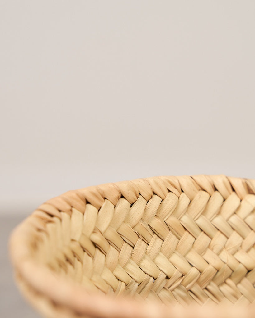 CAPAZO PALMA PEQUEÑO