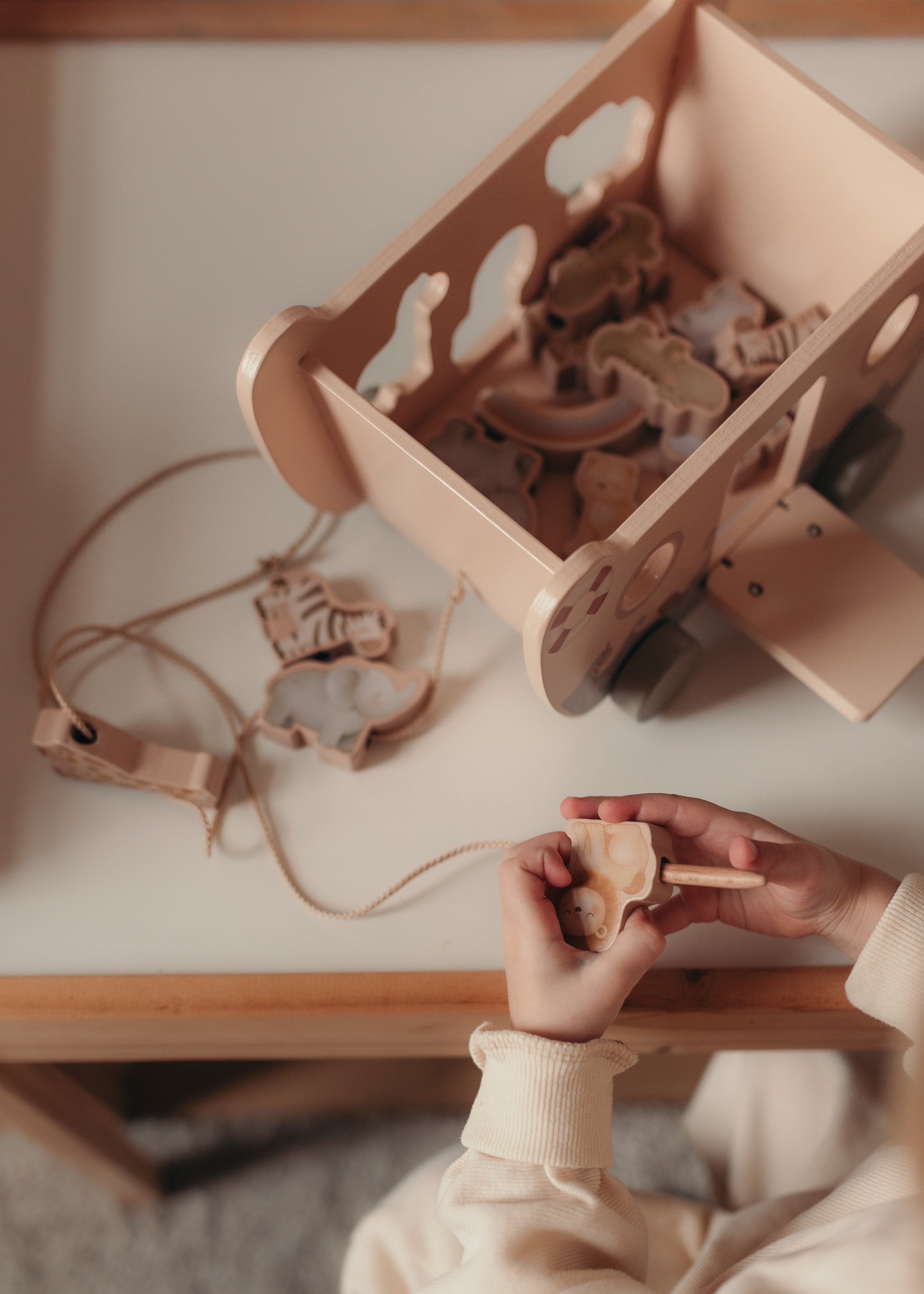 BARCO MADERA ARCA DE NOÉ - BUDDY BOAT