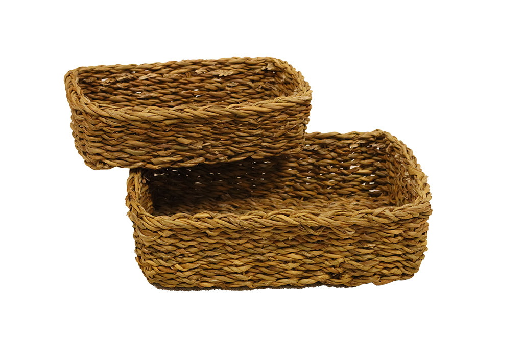 CESTA SEAGRASS