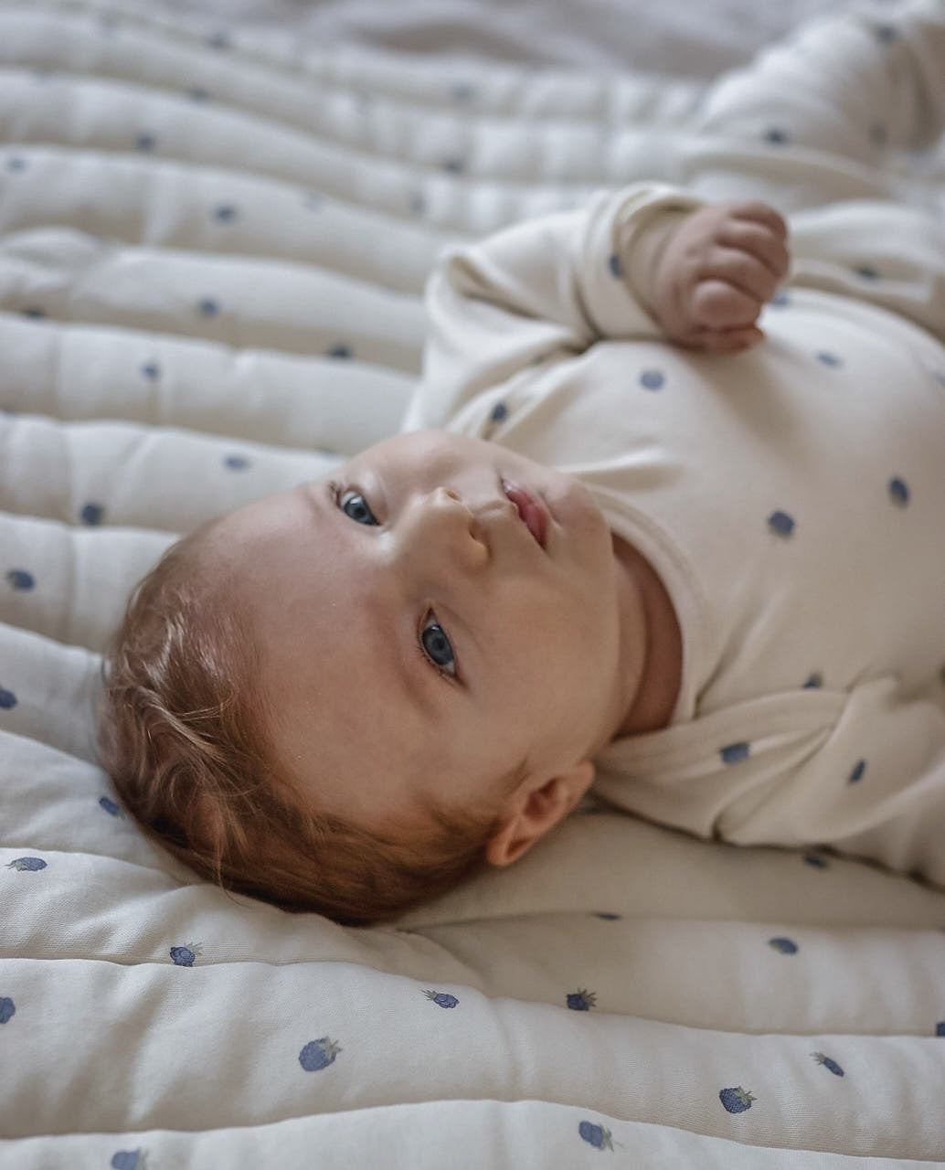 PLAYMAT - MANTA ACOLCHADA BLUEBERRIES NORTH BABY